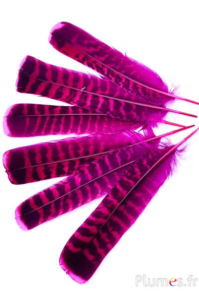 Tétras des bois - 19-21 cm - fuchsia-café